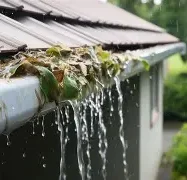 Water overflowing from a gutter filled with leaves, next to a house.