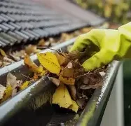 A gloved hand removes leaves from a rain gutter.
