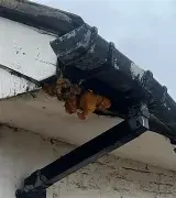 A person using a power drill to repair a gutter while on a ladder.